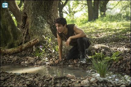 promo_59 (595x397, 73 kБ...)